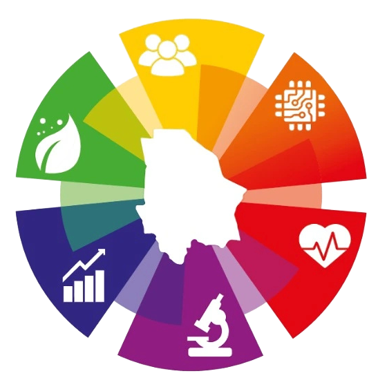 Sistema Estatal de Investigadores